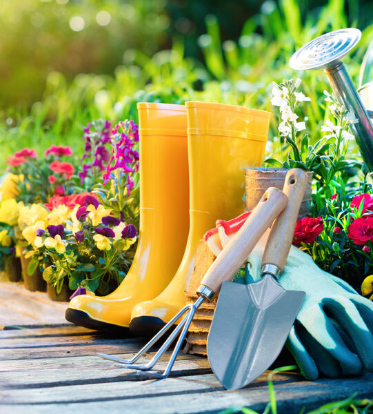 Gardening