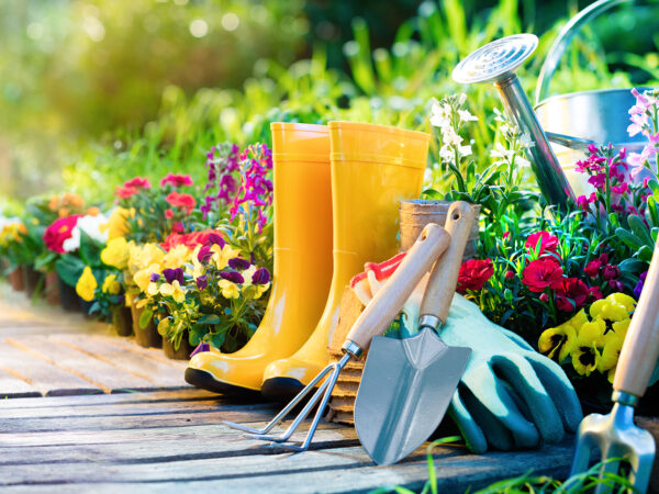 Basic Gardening