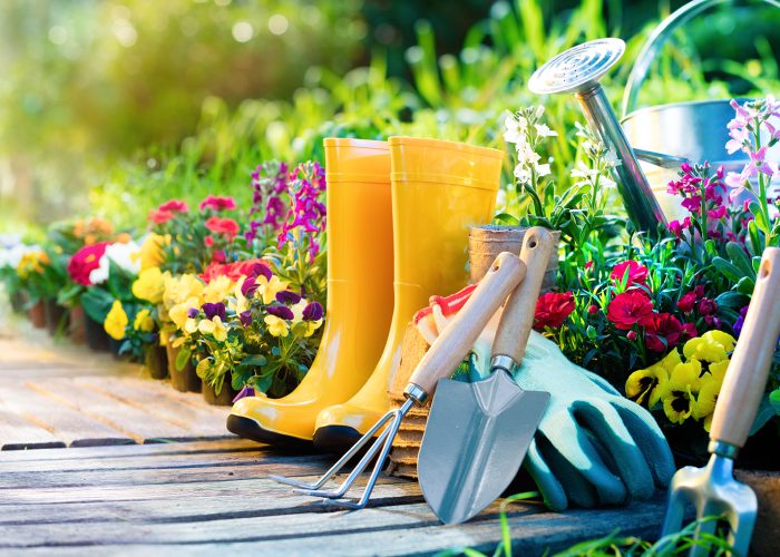 Gardening Gardening